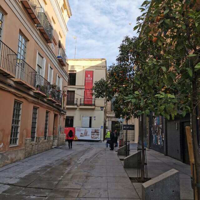 IMG_20250121_094922